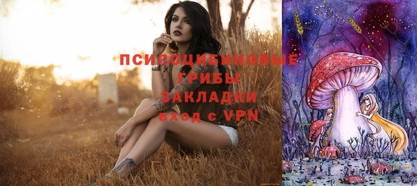 герыч Алзамай