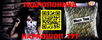 PSILOCYBIN Кинель