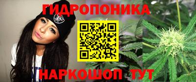 альфа пвп Кингисепп